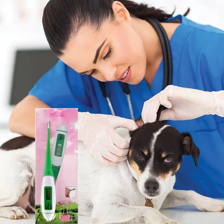 scene of Veterinary thermometer.png