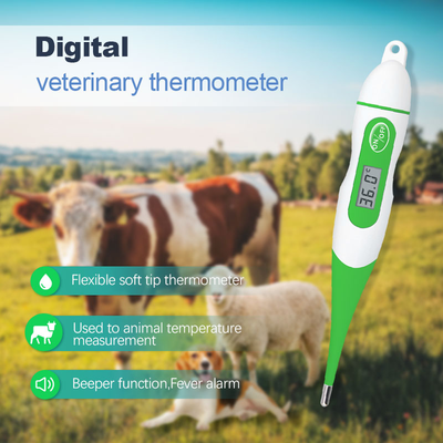 digital veterinary thermometer